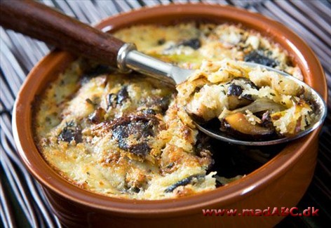 Champignongratin 2